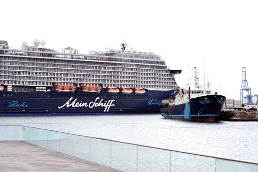 Anger and Resignation in Tenerife as Hantavirus Ship Nears Port